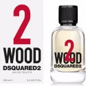 TWO WOOD edt spray 100 ml