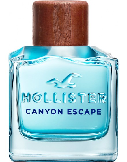 CANYON ESCAPE for him edt spray 100 ml - Hollister -