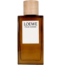 LOEWE POUR HOMME edt spray 100 ml - Loewe - 8426017070119 -