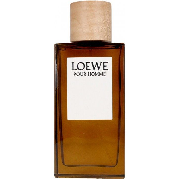 LOEWE POUR HOMME edt spray 100 ml