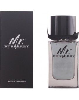 MR BURBERRY edt spray 100 ml