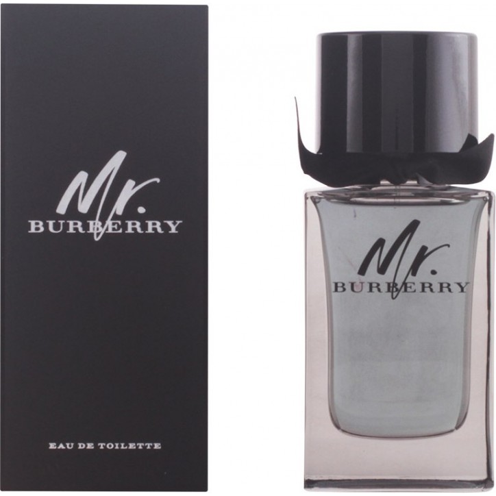 MR BURBERRY edt spray 100 ml