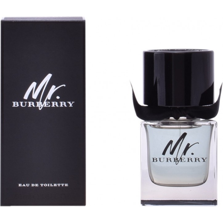 MR BURBERRY edt spray 50 ml