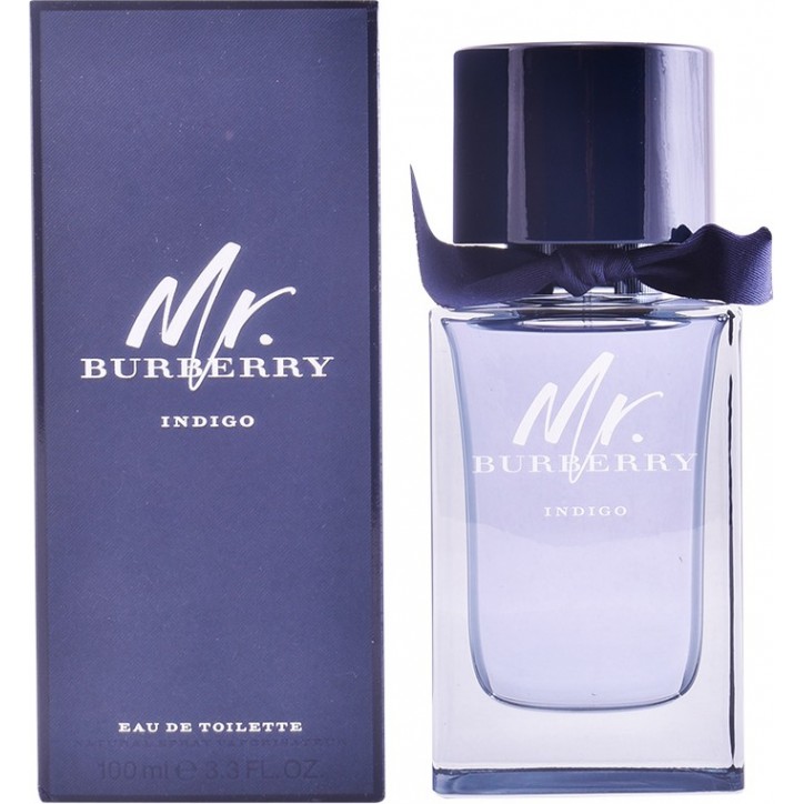 MR BURBERRY INDIGO edt spray 100 ml