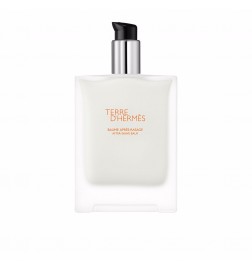 Hermès TERRE D'HERMES as balm with pump 100 ml