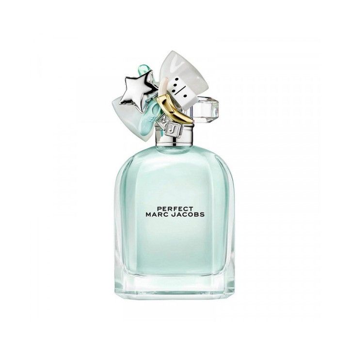 PERFECT edt spray 100 ml