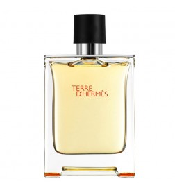 Hermès TERRE D'HERMES Eau de Toilette - 100ml