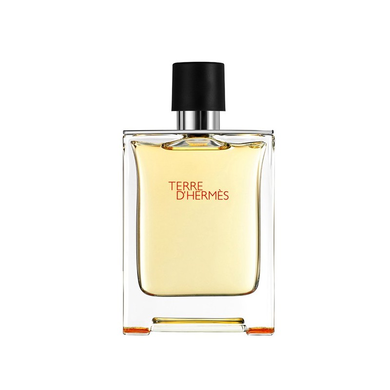 Hermès TERRE D'HERMES Eau de Toilette - 100ml