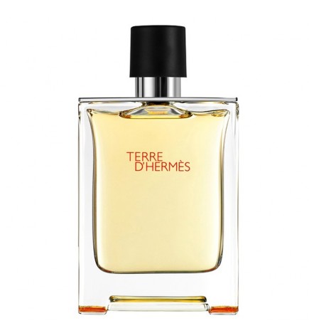 TERRE D'HERMES Eau de Toilette - 100ml