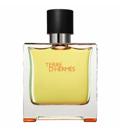 Hermès TERRE D'HERMES parfum spray 200 ml
