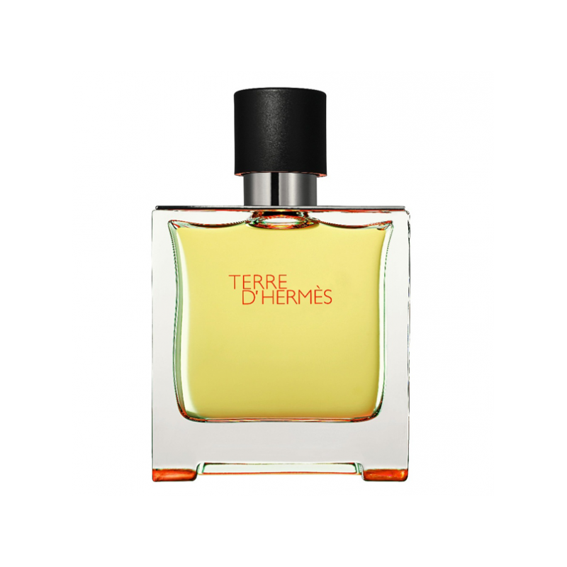 Hermès TERRE D'HERMES parfum spray 200 ml