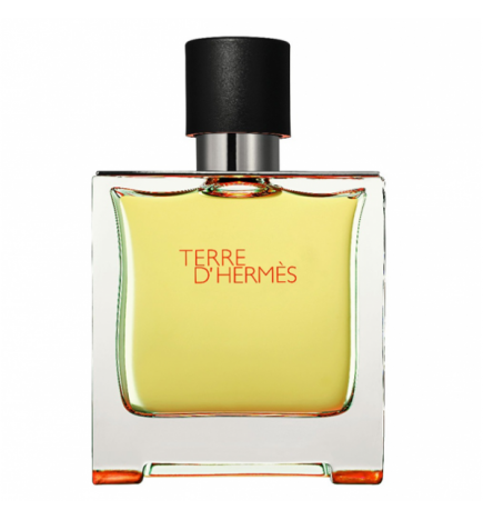 Hermès TERRE D'HERMES parfum spray 75 ml