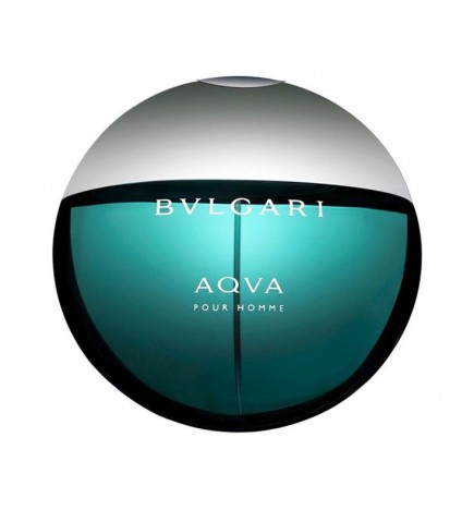 Bvlgari AQVA POUR HOMME edt spray 100 ml