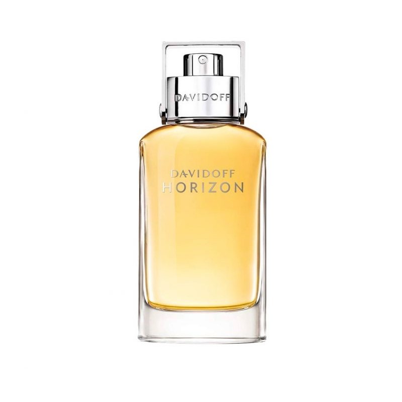 Davidoff HORIZON edt spray 125 ml