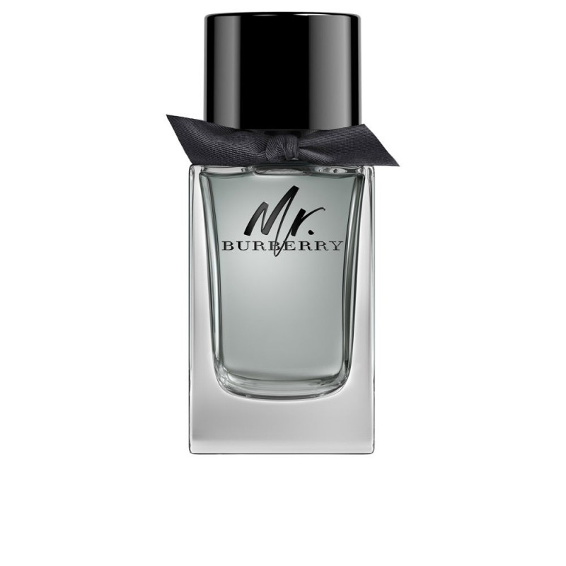 Burberry MR BURBERRY edt spray 150 ml