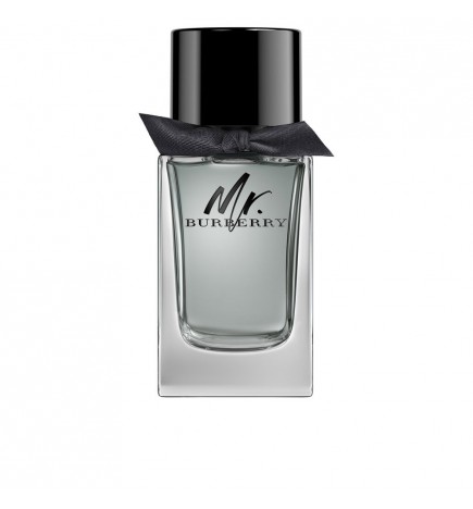 Burberry MR BURBERRY edt spray 150 ml