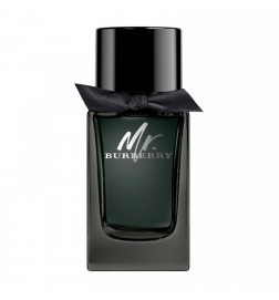 Burberry MR BURBERRY edp spray 100 ml