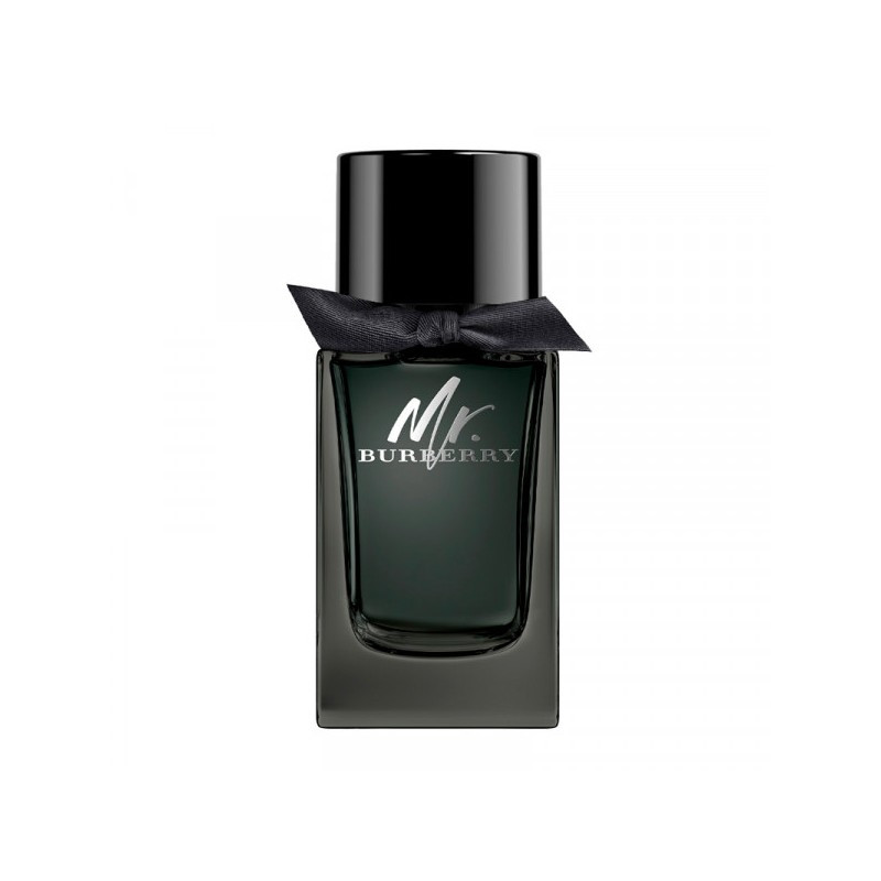 Burberry MR BURBERRY edp spray 100 ml