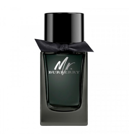 Burberry MR BURBERRY edp spray 100 ml