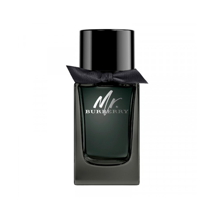 MR BURBERRY edp spray 100 ml