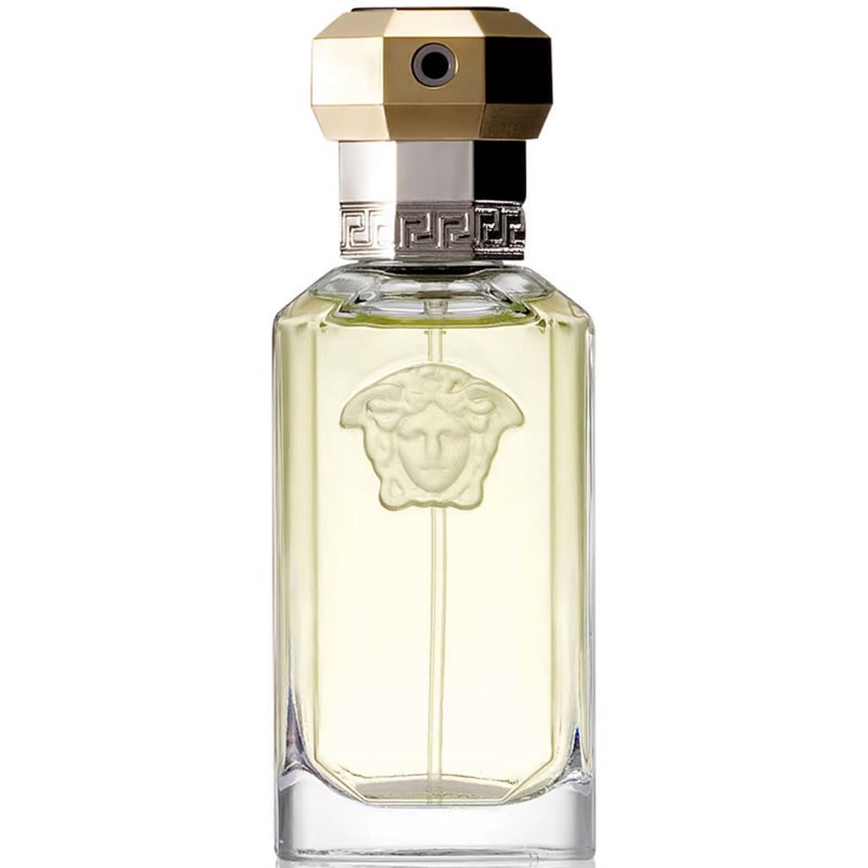 Versace THE DREAMER edt spray 100 ml