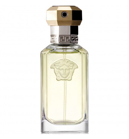 Versace THE DREAMER edt spray 100 ml