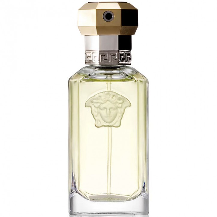 THE DREAMER edt spray 100 ml