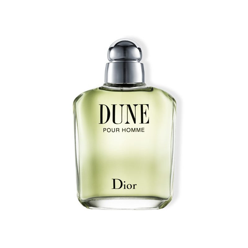 DIOR DUNE POUR HOMME edt spray 100 ml