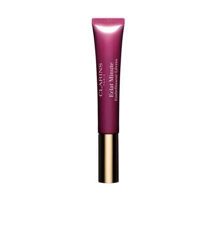 ECLAT MINUTE embellisseur lèvres 08-plum shimmer