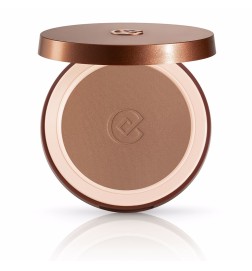 SILK EFFECT bronzing powder 2.