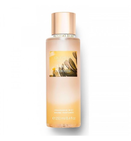 Victoria's Secret OASIS BLOOM Fragance mist 250ml