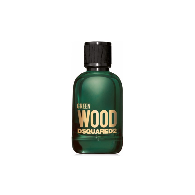 Dsquared2 GREEN WOOD POUR HOMME edt spray 100 ml