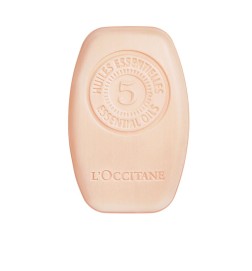 INTENSE REPAIR solid shampoo 60 gr