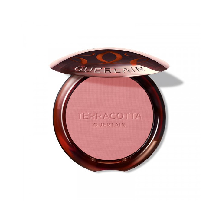 TERRACOTTA BLUSH The Healthy Glow Powder Blush 01