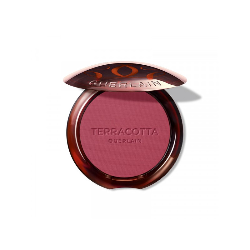 Guerlain TERRACOTTA BLUSH The Healthy Glow Powder Blush 04