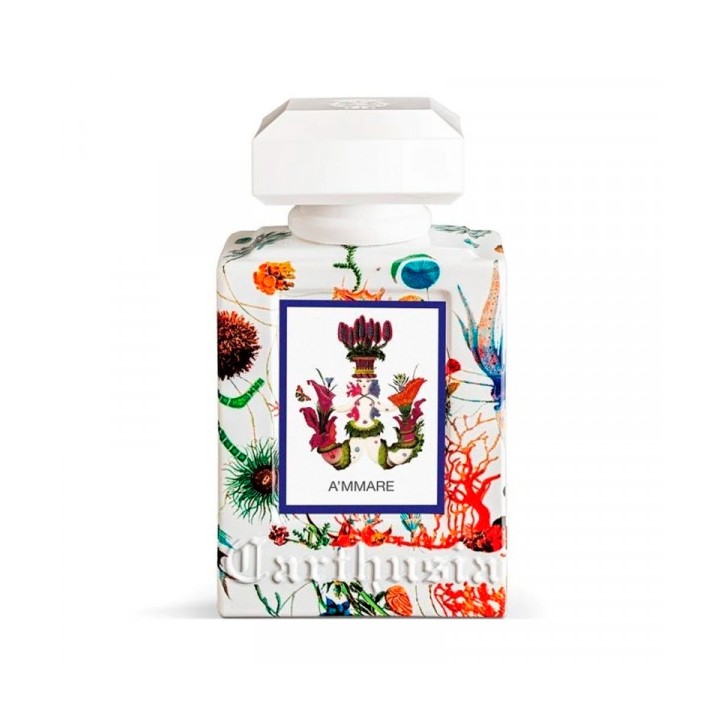 A'MMARE EDP 100ml