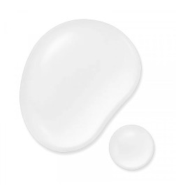 ABSOLUTE SILK MICRO ESSENCE-IN-LOTION 125ml