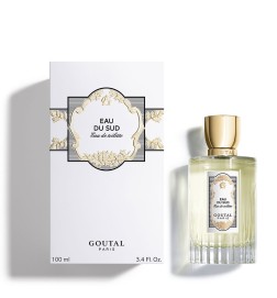 EAU DU SUD EDT 100ml
