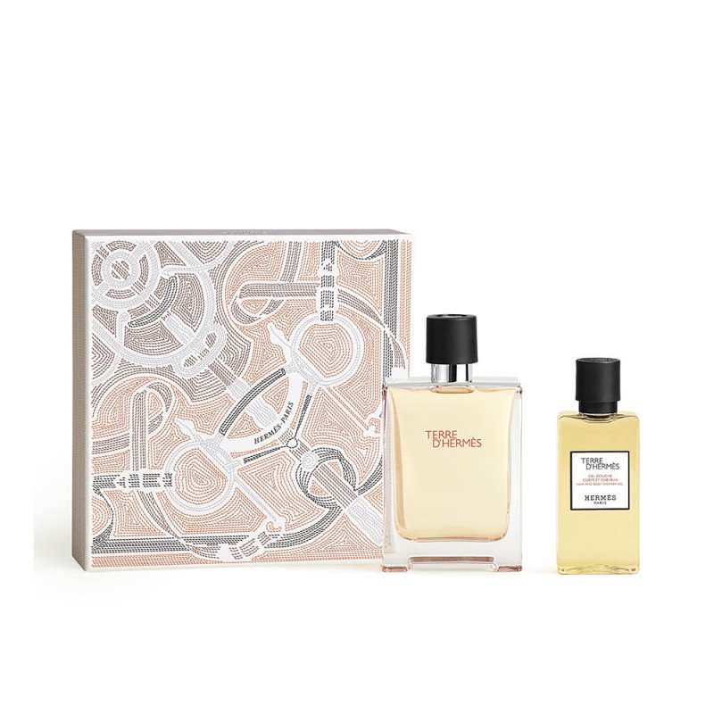 Hermès TERRE D'HERMES EDT 100ml SET
