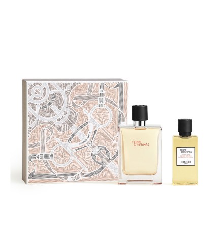 Hermès TERRE D'HERMES EDT 100ml SET