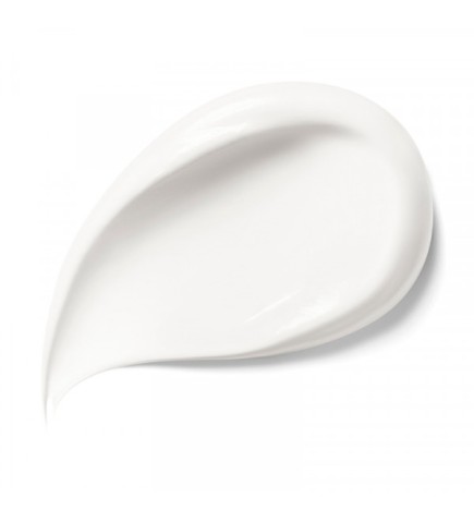 CAPTURE DAY CREAM REFILL 50ml