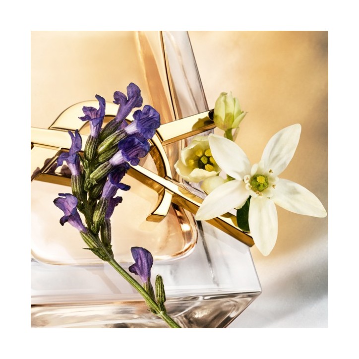 Eau de Parfum LIBRE - 50ml