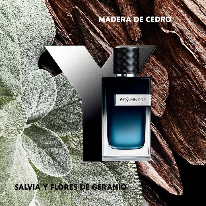 Y Eau de Parfum - 60ml Y Eau de Parfum - 60ml