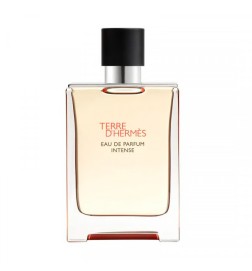 Hermès TERRE D'HERMES Eau de Parfum Intense - 100ml