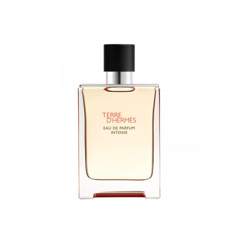 Hermès TERRE D'HERMES Eau de Parfum Intense - 100ml