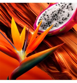Escada BALI PARADISE Eau de Toilette - 50ml