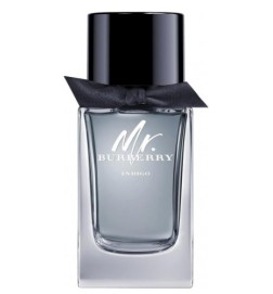 Burberry MR BURBERRY INDIGO edt spray 100 ml