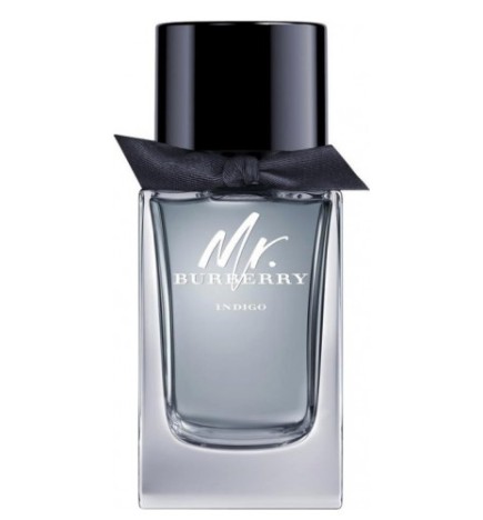 Burberry MR BURBERRY INDIGO edt spray 100 ml