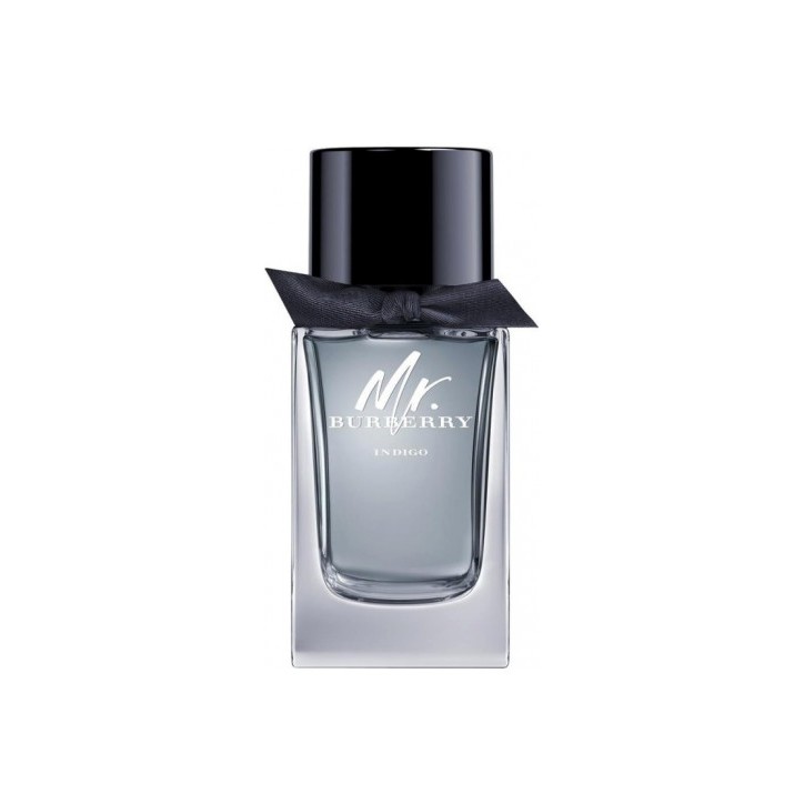 MR BURBERRY INDIGO edt spray 100 ml