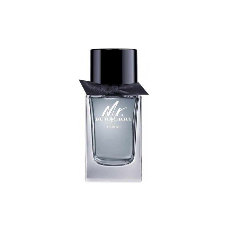 Burberry MR BURBERRY INDIGO edt spray 150 ml